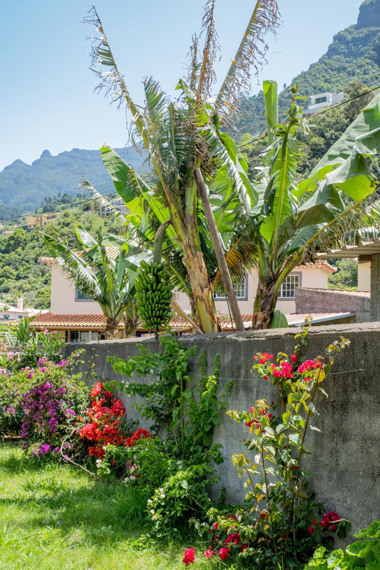 Sao Vicente Guest House Kültér fotó