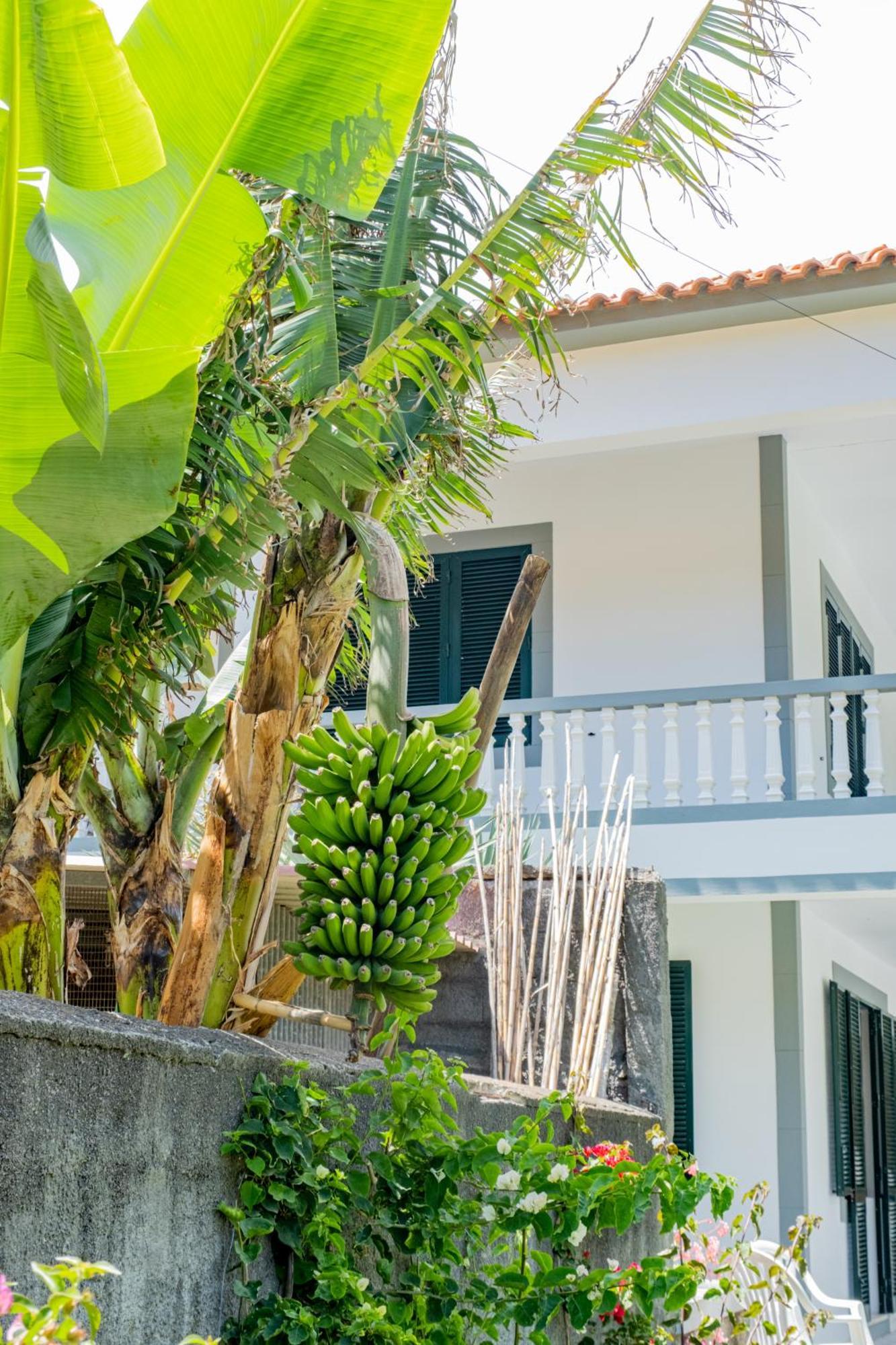Sao Vicente Guest House Kültér fotó